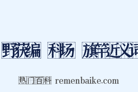 野获编·科场·旗竿近义词是什么意思的图片